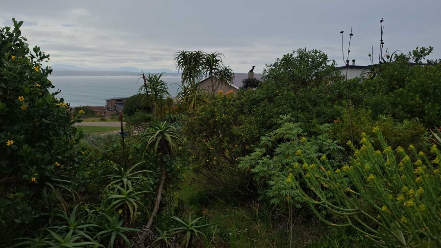 0 Bedroom Property for Sale in Vleesbaai Western Cape